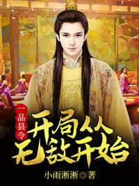 《一品县令:开局从无敌开始》