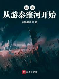 明末:从游秦淮河开始小说