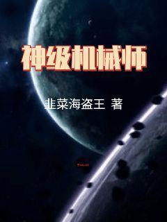 神级机械师星海