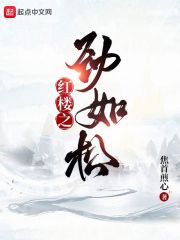 红楼劲如松防盗