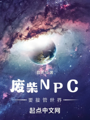 废柴npc接管世界 小说