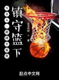 nba巅峰大鲨鱼镇守篮下小说