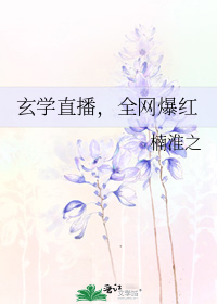 玄学大师要直播 小说