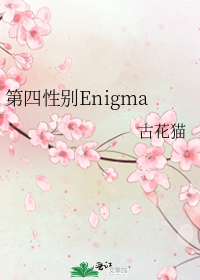 第四性别enigma简介