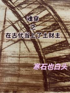 魂穿之在古代当上了土财主