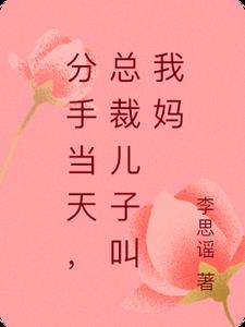 分手当天，我给总裁儿子当后妈