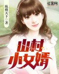 山村小女婿结局