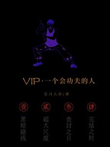 vip：一个会功夫的人