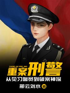 重案刑警小说