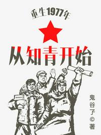 重生1977年从知青开始 小说