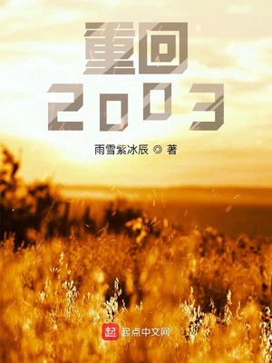 重回2003txt