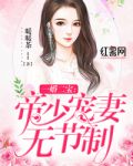 一婚二宝帝少宠妻无节制下载