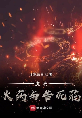 火药魔法师简介