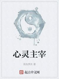 心灵主宰无错字