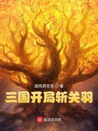 三国开局斩将当赵王